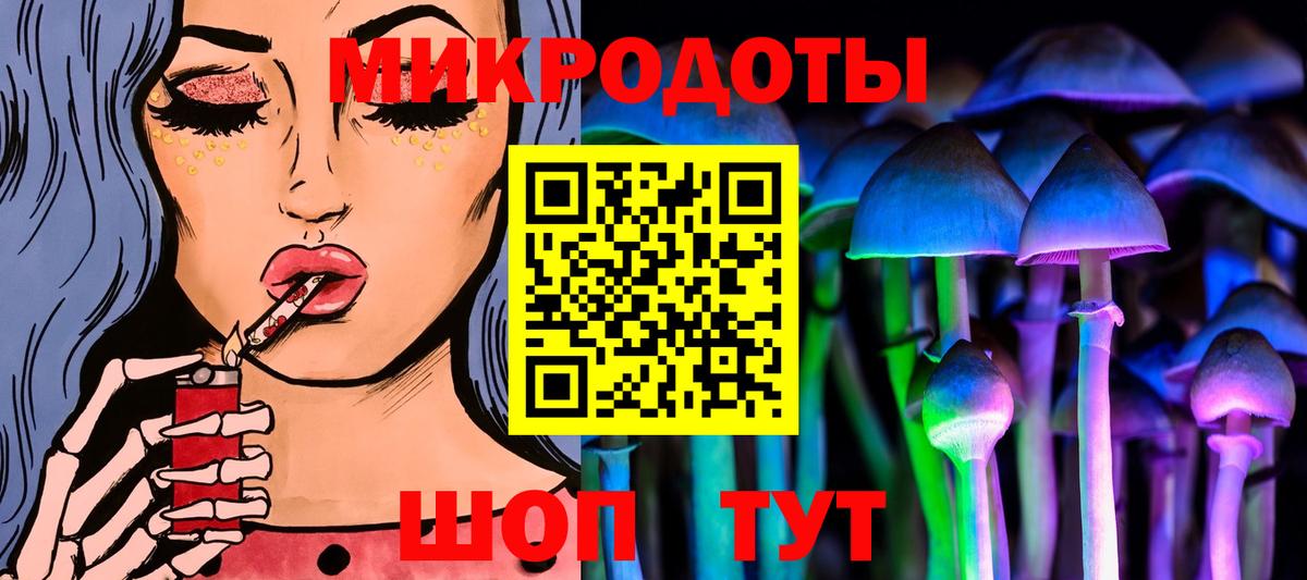 Псилоцибиновые грибы мицелий Тавда