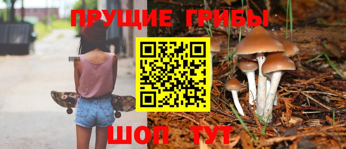 Галлюциногенные грибы GOLDEN TEACHER  Галлюциногенные грибы Psilocybe  Тавда  Вход с VPN 